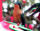 waterfall park 054 800