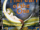 7 The Pearl of the Osa Beach Resort in the Osa Peninsula of Costa Rica 800
