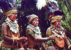 48 Three tribes woman beating the drum in a Sing sing 800