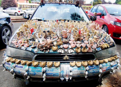 Dental Car 3 800
