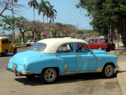 1949 plymouth 800