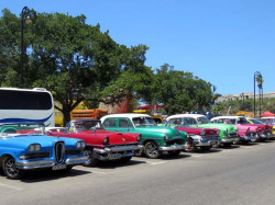 lineup of 1950 s taxis in havana 800