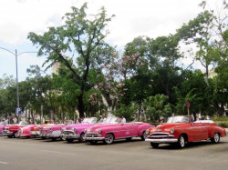 lineup of taxis in havana 800