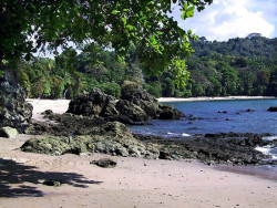 37 beach inside of manuel antonio national park in costa rica 800