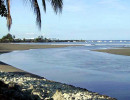 76. low tide at puerto jimenez  costa rica 800