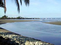 76. low tide at puerto jimenez  costa rica 800