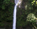 the roadside falls at waterfall park  mf  800