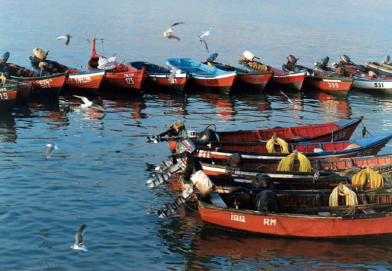 12 fleet of small fishing boats in iquique  chile 800