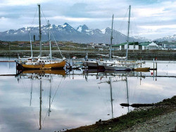 7 group of sailboats docked in the patagonia 800