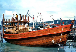 43 wooden boat under construction in new zealand 800
