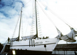 62 tall wooden ship in new zealand 800