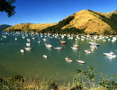 73 small bay along the atlantic coast of brazil north of vitoria 800