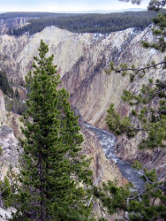 yellowstone national park   wyoming 26 800