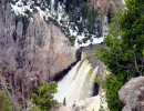 yellowstone national park   wyoming 29 800