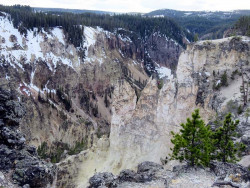 yellowstone national park   wyoming 31 800