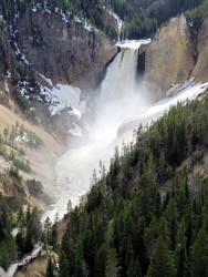 yellowstone national park   wyoming 32 800