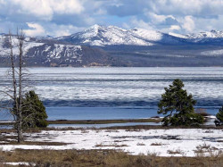 yellowstone national park   wyoming 42 800