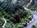 26 last hill to descend before its supper time in new zealand 800