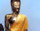 40 golden statue of buddha in thailand 800