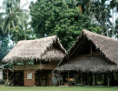 73 thatched home in papua new guinea 800