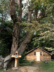21 log cabin church in the lake district of chile 800