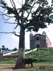 13 colonial church up on a hill in the chiapas state of mexico 800