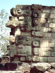 26 figures carved in stone on a stone block wall in the maya ruins of copan