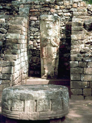 30 mayan stela and alter at copans ruins