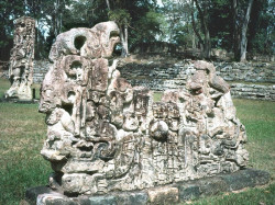 31 mayan stela and large stone carving at copan