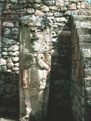47 stela protected from the wind at copan
