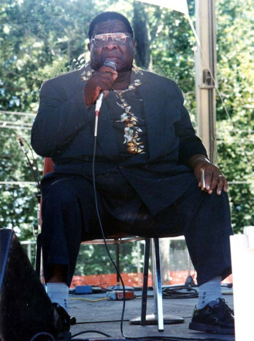 harmonica fats  2 