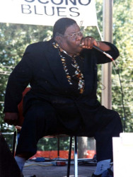 harmonica fats