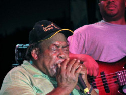 james cotton 3