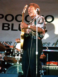 luther allison  3 
