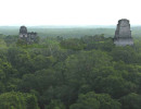 41 temples towering above the canopy